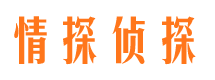 蒲县私家侦探公司